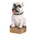 Bobble Head - White Bulldog